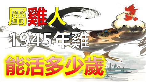 1945年屬什麼|【1945 生肖】1945 生肖大揭密！屬什麼生肖、命運如何？